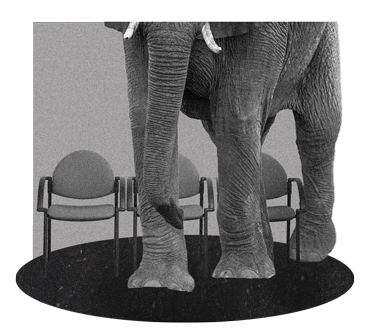 Elephant Standing in Hospital Waiting Room